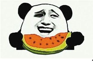 铁豆吃瓜群众,揭秘网络红人的崛起之路