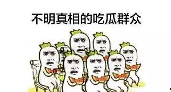 吃瓜群众不能做的,吃瓜群众不可触碰的禁忌领域