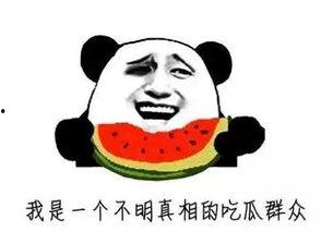 吃瓜群众属于什么群体的,网络时代下的社会观察者群体