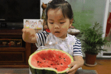 吃瓜群众会胖吗,瓜果零食与体重管理的微妙关系