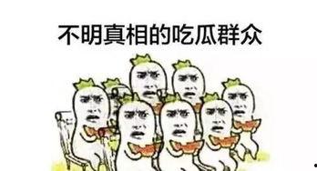 被惊呆的吃瓜群众是谁啊,揭秘被惊呆的吃瓜群众之谜