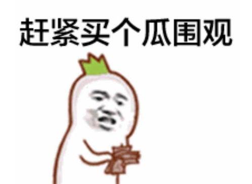 蒙面吃瓜群众代表,网络舆论场中的真实声音