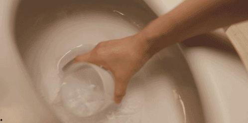 马桶姐姐吃瓜群众,马桶姐姐与吃瓜群众的趣味日常