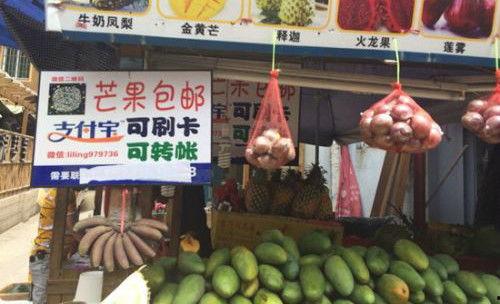 吃瓜群众的瓜摊淘宝店