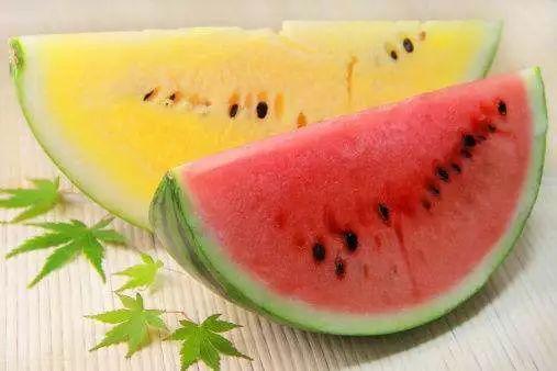 顶级吃瓜群众视频,视频背后的热点追踪与娱乐狂欢