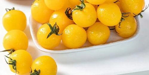 吃瓜群众小番茄,揭秘吃瓜群众的趣味生活