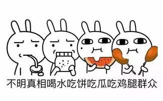 成功成为吃瓜群众,我的成长之路