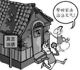 成功成为吃瓜群众,我的成长之路