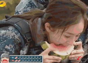 教你做吃瓜群众视频,教你成为吃瓜群众的快乐指南