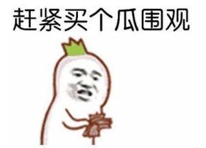 胡歌林依晨吃瓜群众