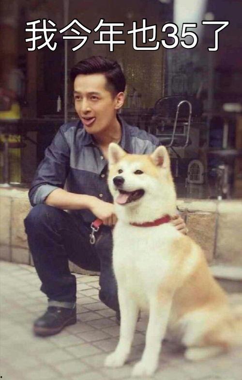 胡歌林依晨吃瓜群众