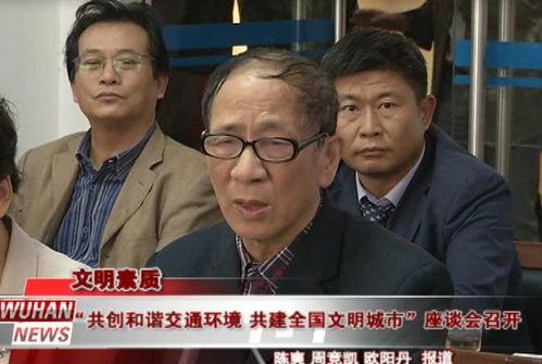 文山吃瓜群众事件真相,揭开真相背后的网络迷雾