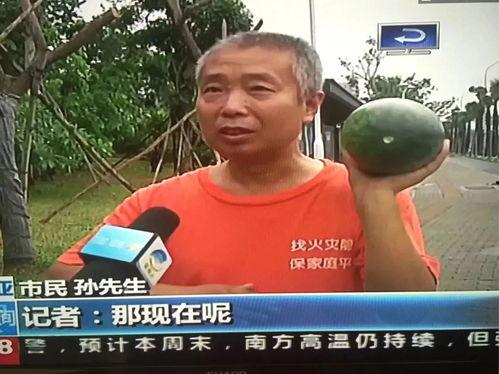 张湾吃瓜群众事件,一场网络舆论的风暴与反思