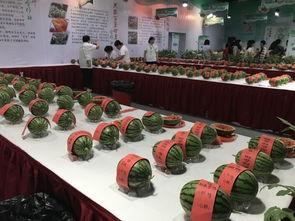 吃瓜群众怎么开会,吃瓜群众视角下的会议奇观