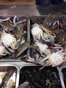 中国吃瓜群众的渔船,吃瓜群众眼中的海上生活画卷