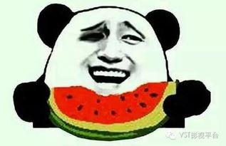 一人之下吃瓜群众,揭秘神秘世界与热血青春