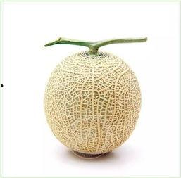 吃瓜群众原料,揭秘“吃瓜群众”背后的社会现象与心理解读