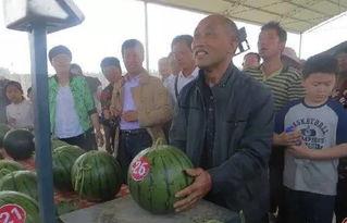 村东头的吃瓜群众,揭秘乡村生活百态