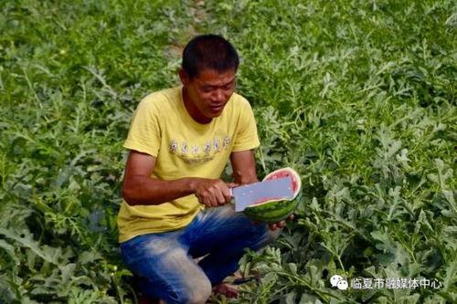 村东头的吃瓜群众,揭秘乡村生活百态