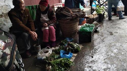 四川人在以色列看热闹吃瓜群众,四川“吃瓜群众”在以色列的独特视角