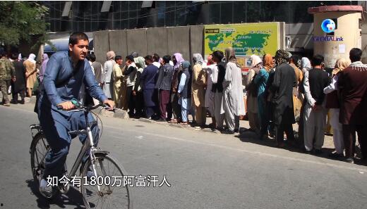 四川人在以色列看热闹吃瓜群众,四川“吃瓜群众”在以色列的独特视角