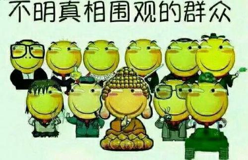 吃瓜群众阿基米德螺旋线,揭秘吃瓜群众的趣味世界