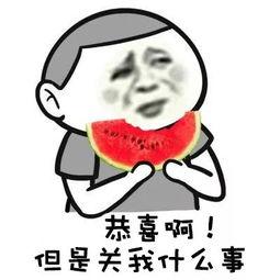 吃瓜群众小野哥视频在线观看,带你领略网络热点的魅力瞬间