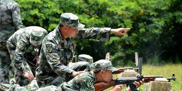 缅北打仗吃瓜群众视频,吃瓜群众视角下的战地风云